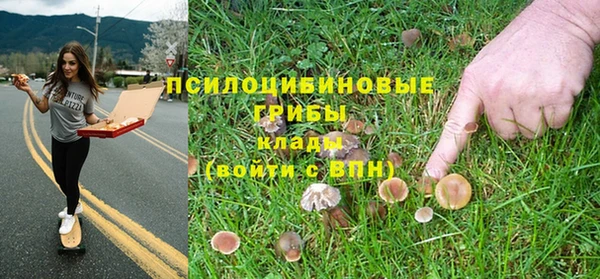 PSILOCYBIN Абдулино